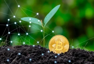 Why Bitcoin Mining in the Middle East Is About to Change Everything in Crypto